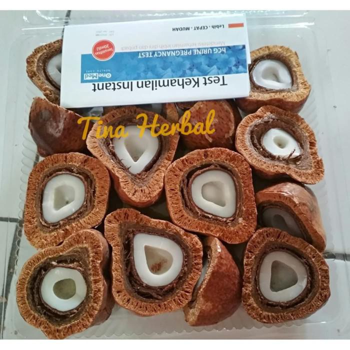 

TERBUKTI AMPUH BUAH ZURIAT BELAH 500 GRAM DOUM ASLI MESIR SIAP REBUS !!!