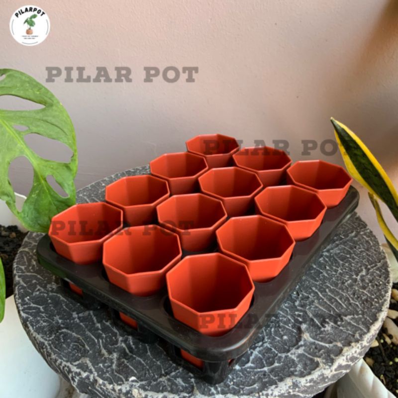 1 set Tray + POT BUNGA NKT PAGODA 5CM MERAH BATA | tray semai bibit