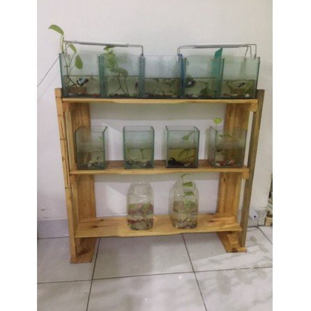 rak ikan cupang/pot tanman ukuran 80x50x14 2ltr bongkar pasang