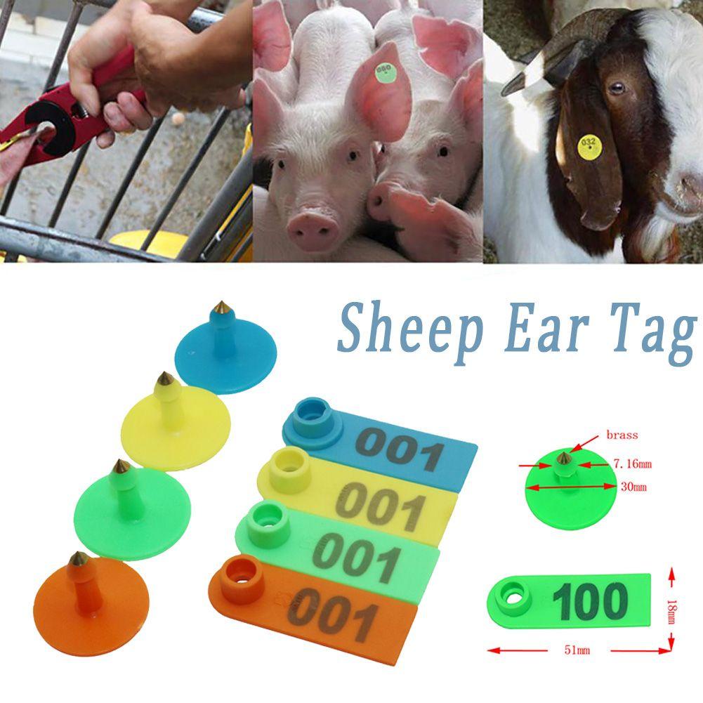 Nickolas1 Sheep Ear Tag Identifikasi Hewan Perlengkapan Ternak Peternakan Domba Kambing Babi Kambing Anting