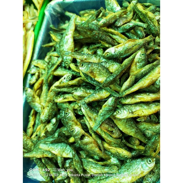 

ikan Bili kering
