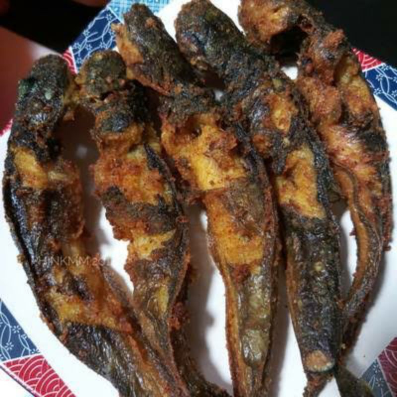

lele goreng isi 9 ekor