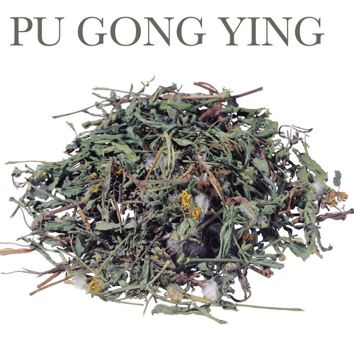 

SGS Teh Dandelion Herbal Tea Diuretik Ginjal Liver Pu Gong Ying