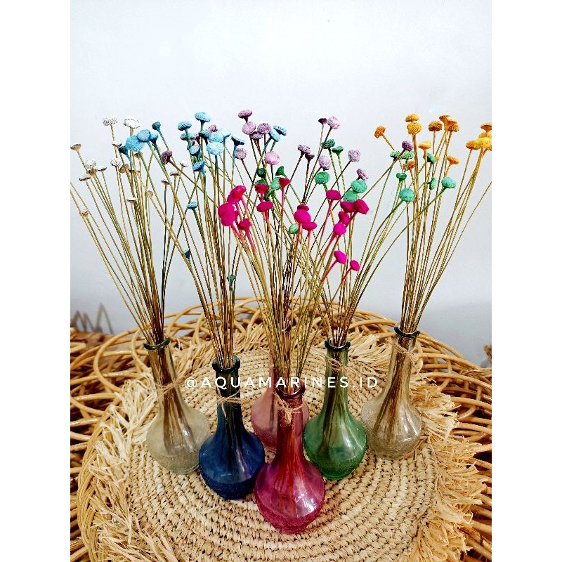 CATLEYA DRIED FLOWER / bunga kering catleya / bunga kering BUTON / bunga warna / bunga kering vas