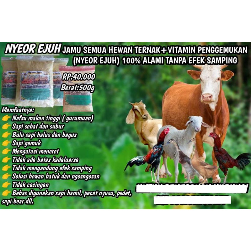 

Jamu sapi, kambing, domba, Dll