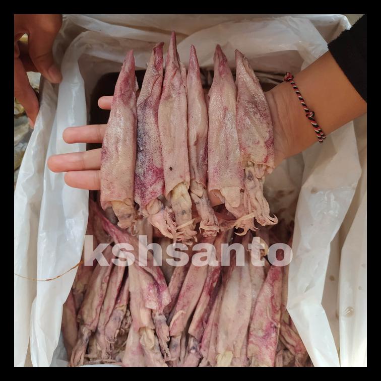 

BEST DEAL IKAN ASIN CUMI PANJANG/LONTAR-1KG !!!!!!