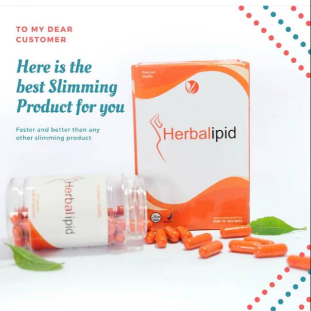 Herbalipid pelangsing tubuh