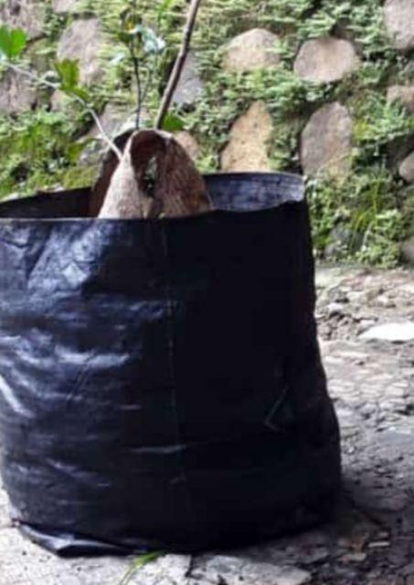 Planter Bag 6 Liter | 20x20