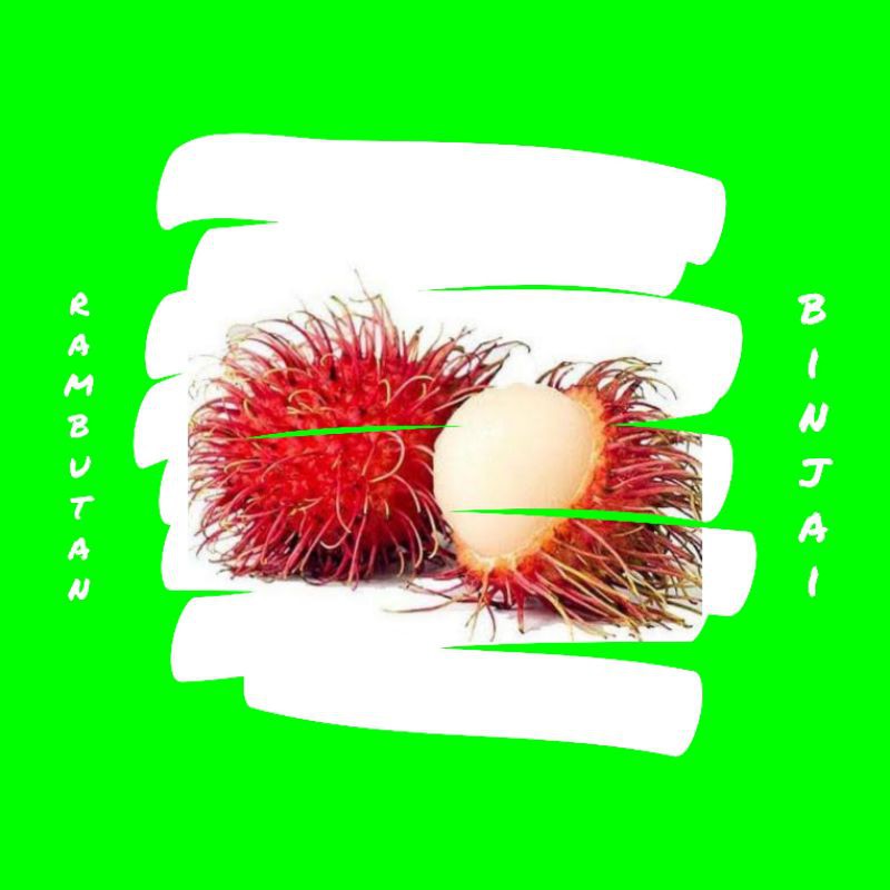 

buah rambutan lebak manis segar