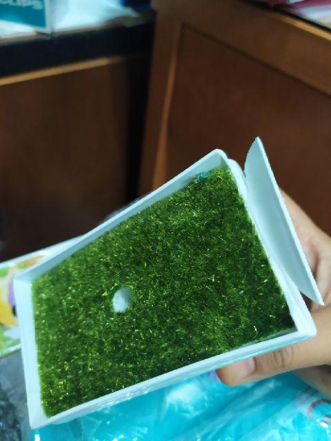 [1kg 11pcs] Pot Tanaman Vas Bunga Varian Pt01-pt04 Dekorasi Rumah Tanaman Plastik Hias Import
