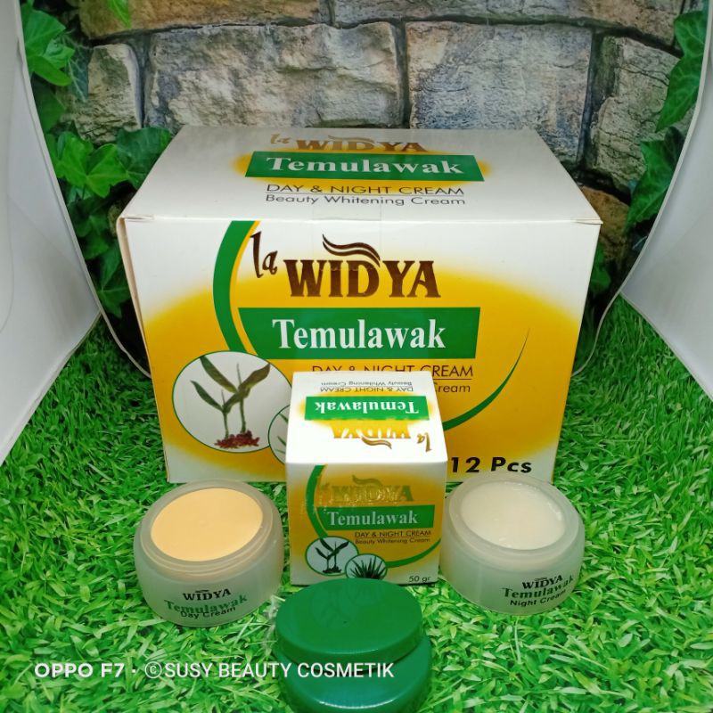 (12 PCS) CREAM TEMULAWAK ((* WIDYA *)) DAY &amp; NIGHT