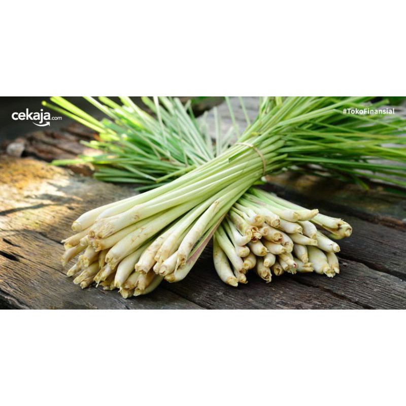 

serai dapur bumbu segar makanan