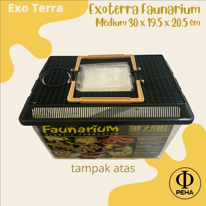 Exoterra Faunarium M Kandang Kotak Mika Box Reptil Gecko Ular Kodok