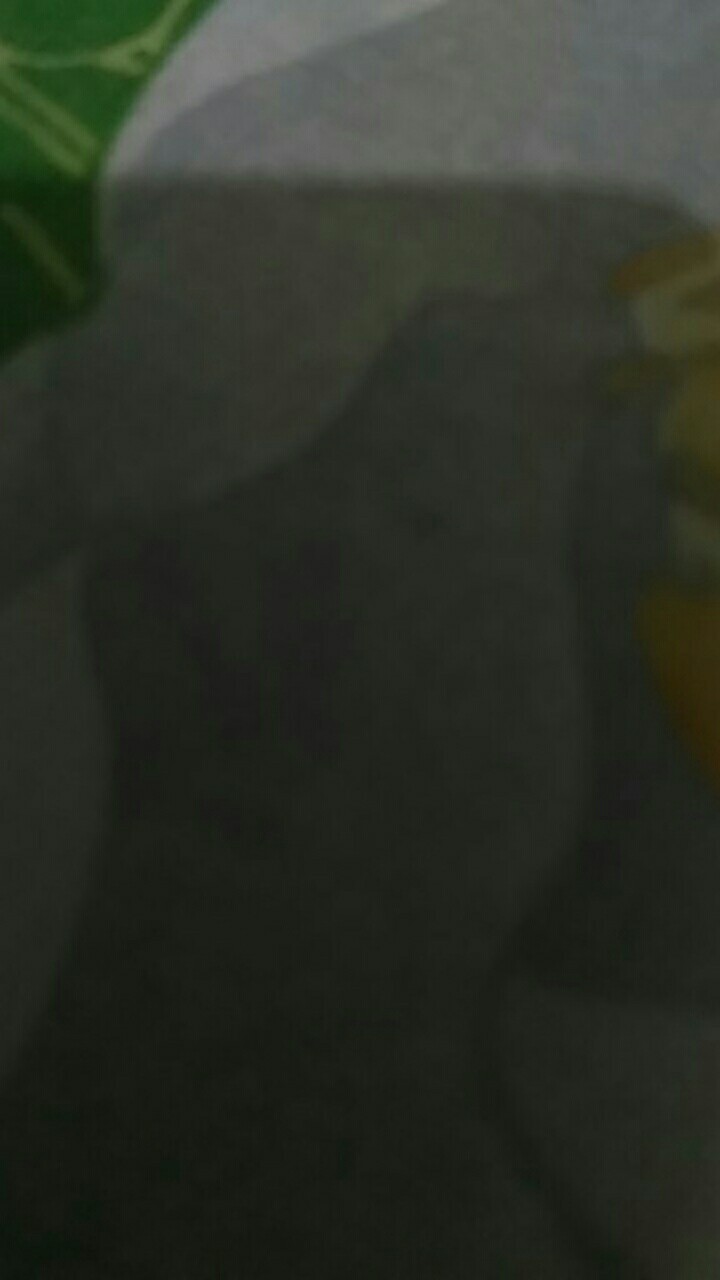 Bibit Strauberi Sudah Tumbuh Dan Berbungga