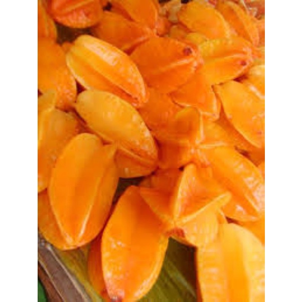 

belimbing madu _ 500gr