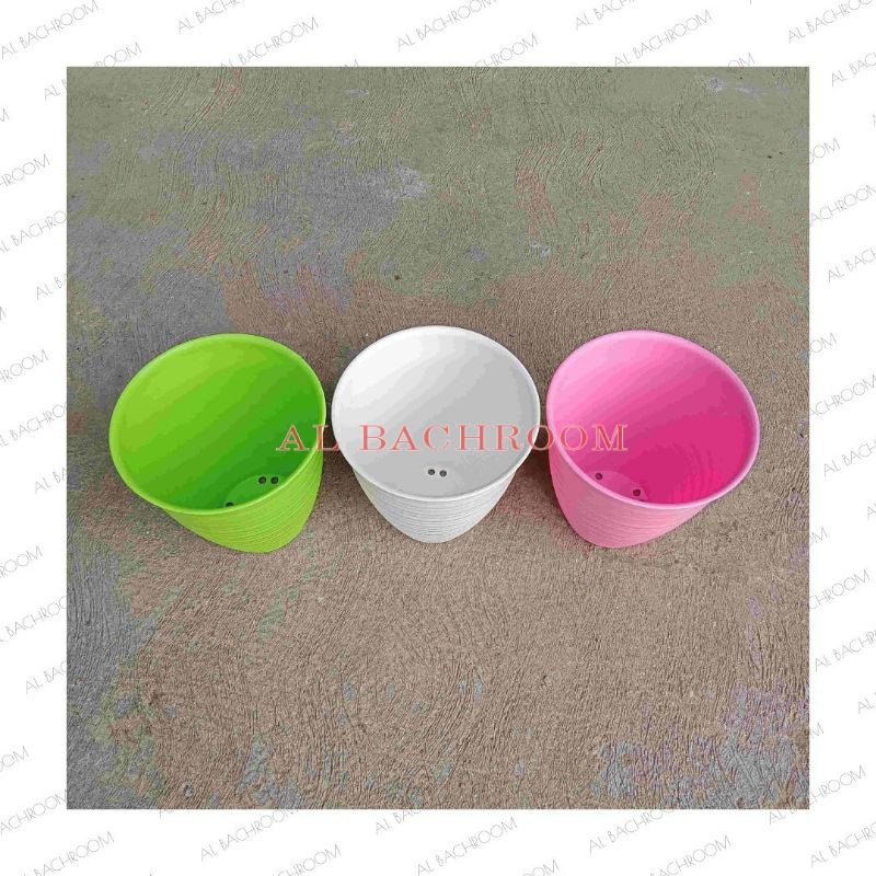 P035 POT TAWON PIRUS MT-20 BUNGA TANAMAN HIAS PUTIH HIJAU PINK