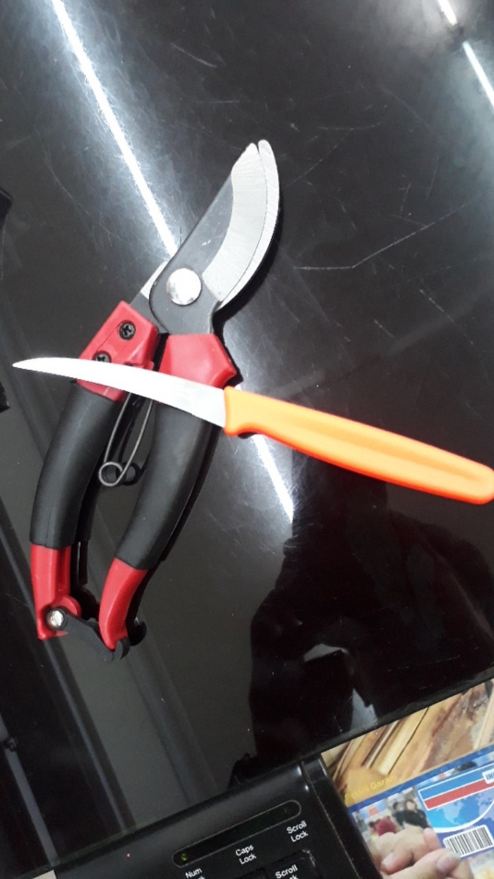 Gunting Dahan Stek Batang Bengkok Serbaguna Kenmaster