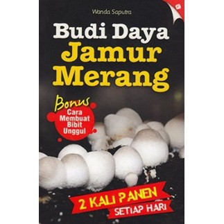 

BUDI DAYA JAMUR MERANG : 2 KALI PANEN SETIAP HARI