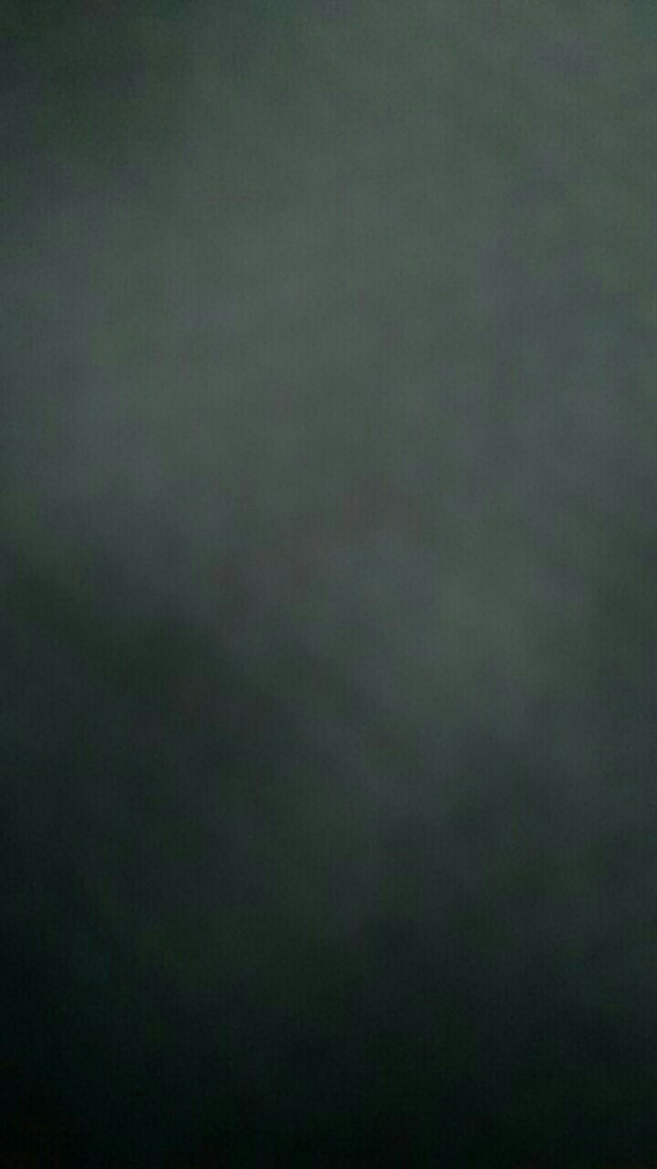 Mic Stainless Steel Garlic Press High Quality Handheld Garlic Press Tekan Bawang Putih