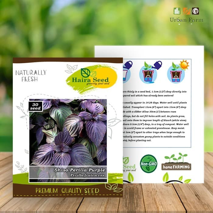 Haira Seed Bibit-Biji Shiso Perilla Purple-Merah