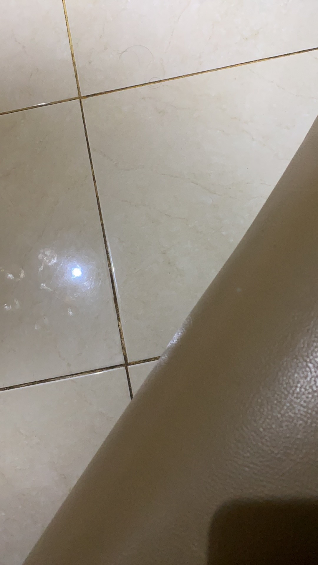 Lukisan Ikan Koi Fengshui