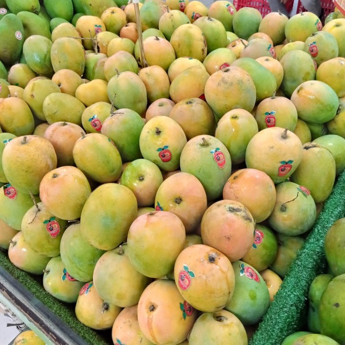 

Buah Mangga Gedong Gincu Premium (0.9-1kg/3-5pcs)