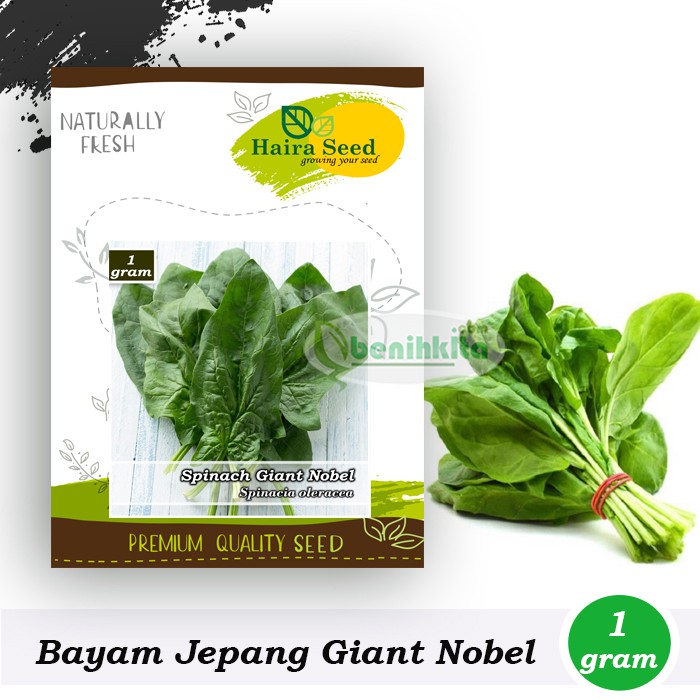 Benih-Bibit Bayam Jepang Giant Nobel (Haira Seed)