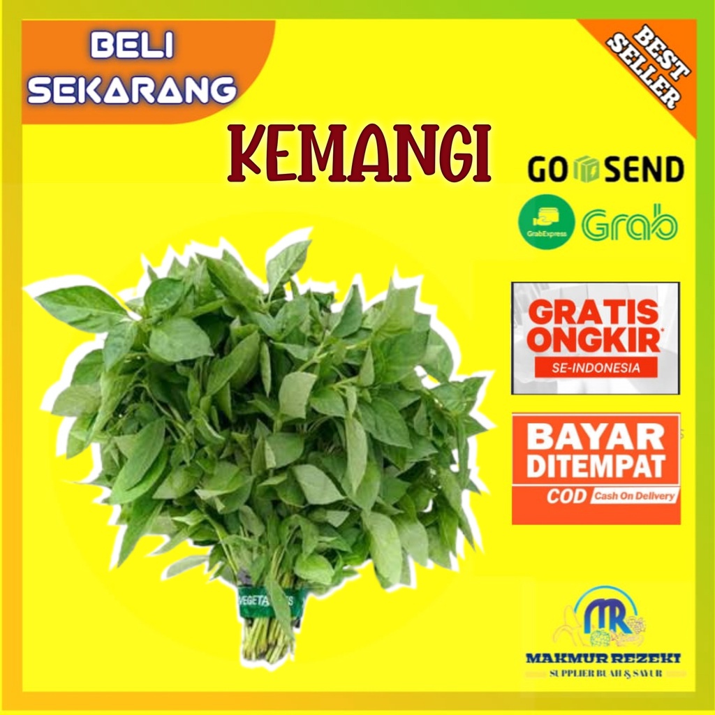 Jual Daun Kemangi Lalapan Satu Ikat Kemangi Segar Shopee Indonesia