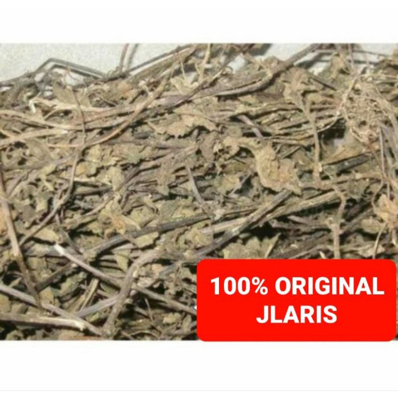 

Daun cincau hitam kering 100gram