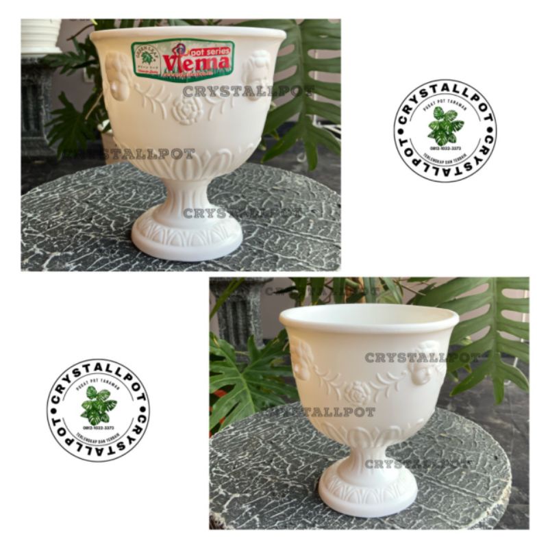 Pot bunga tanaman piala hias interior putih 13,5cm - GREEN LEAF 624