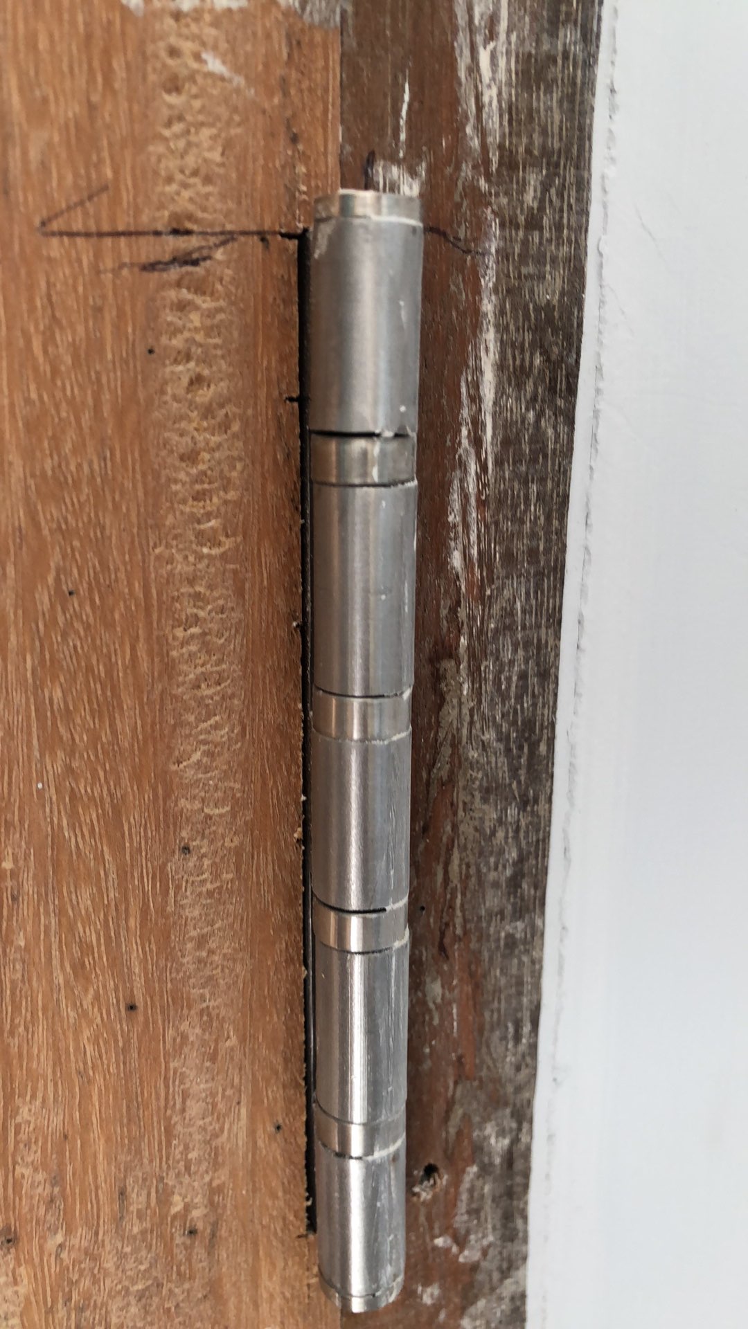 Engsel Pintu 5in Carmelo