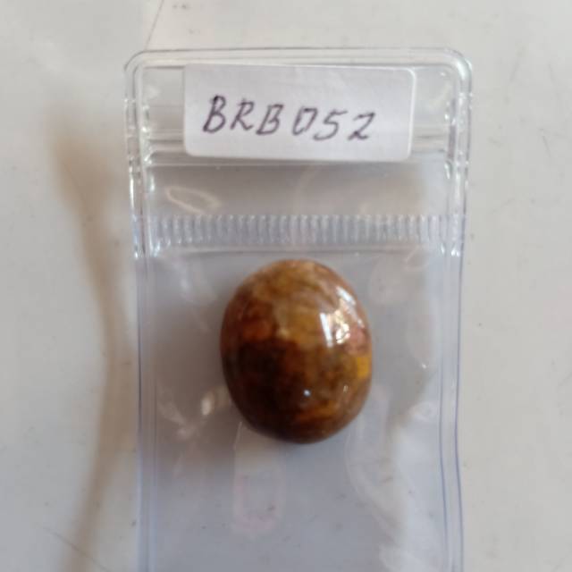 

BRB052 Brown Borneo Kalimantan