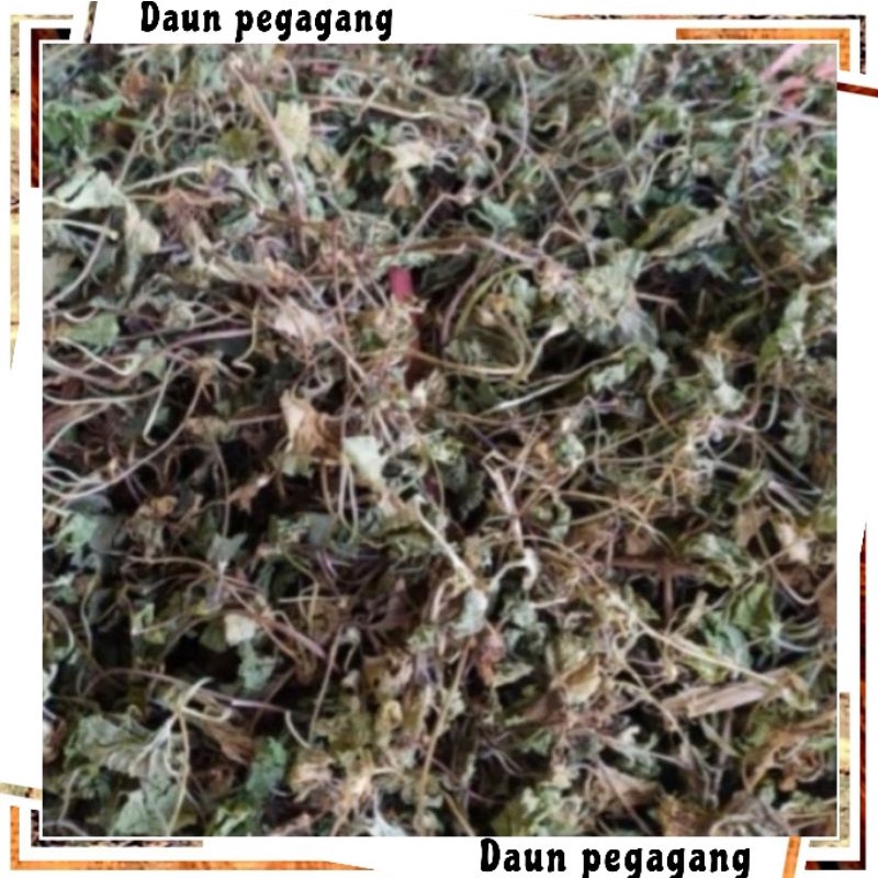 Daun pegagang kering 1kg