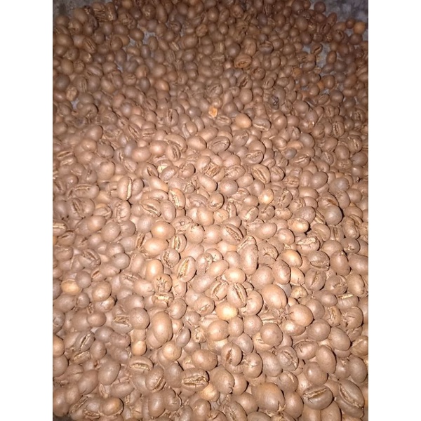 

Roastbean Robusta Dampit A