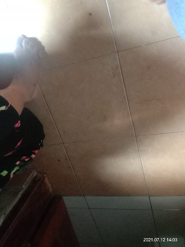 Q3 Kuas Silikon Dapur | Kuas Loyang Kue Roti| Alat Masak Silicon Oles Minyak Margarin Mentega Butter