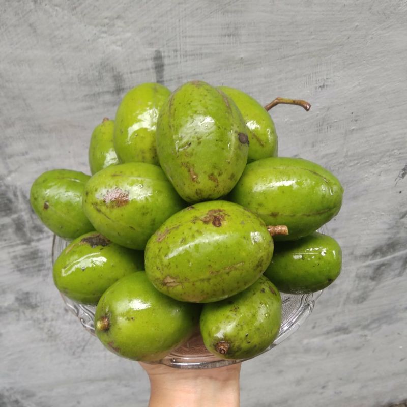 Jual Kedondong Buah Kedondong Gedondong Asinan Buah Segar Asinan