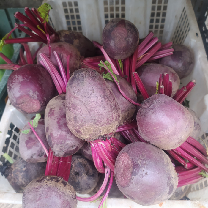 

beetroot 500gr