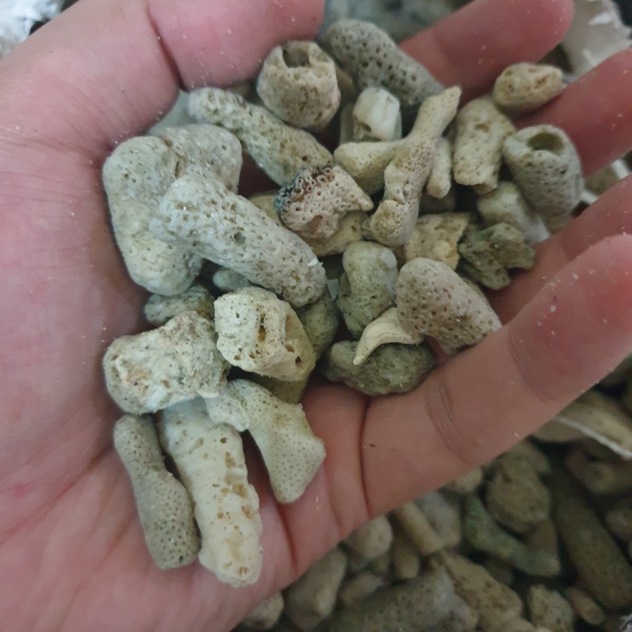 Jual Karang Jahe Media Filter akuarium Kemasan 1 kg