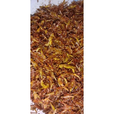 

walanggoreng