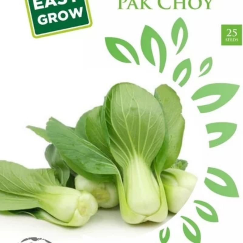 

Biji Sayuran PAK CHOY 1 Pack 25 Seeds