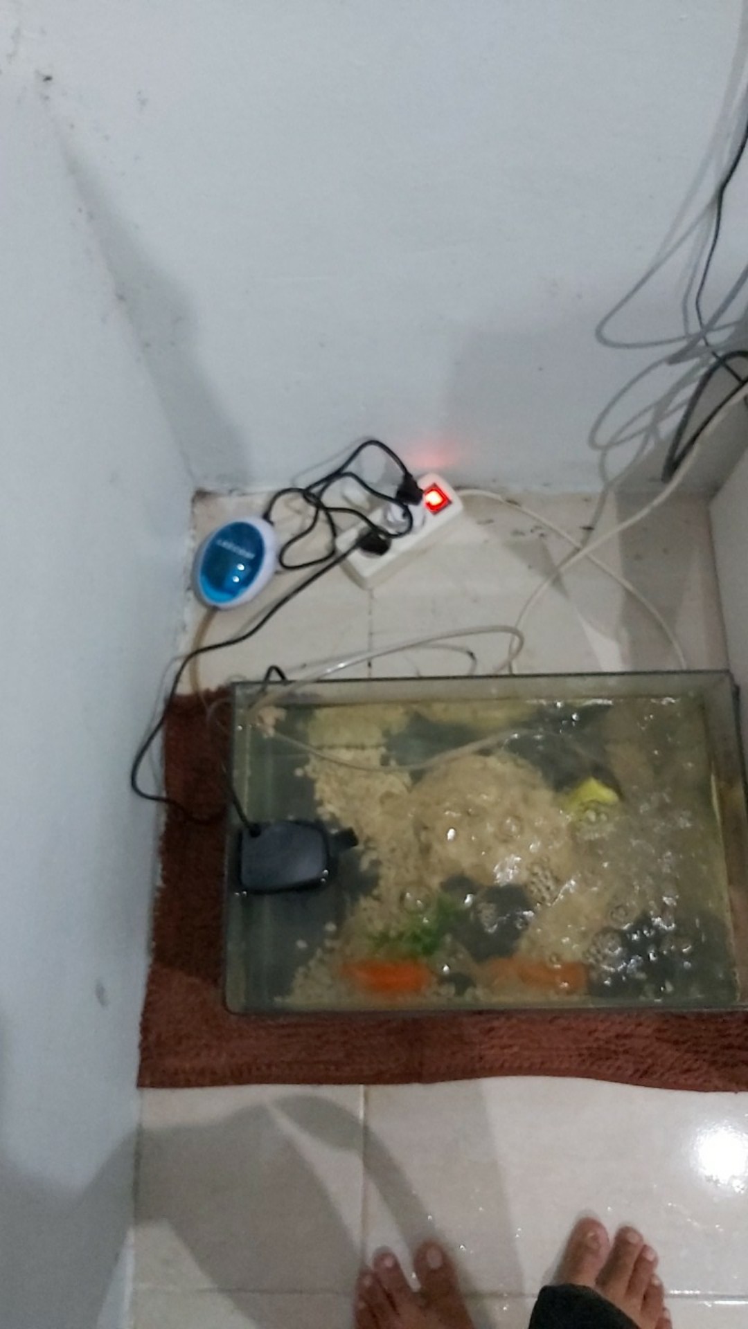 Rhk Leecom Pompa Udara Aquarium 1.5w - Au-312 - Blue