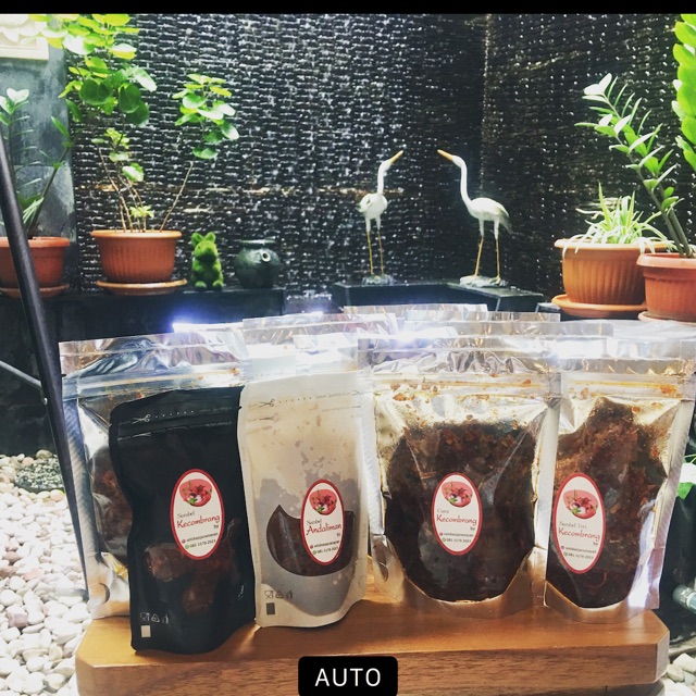 

Sambal teri medan