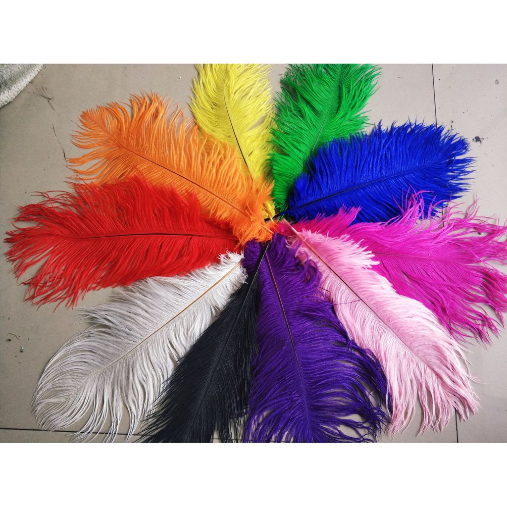 Replika Super Bulu Ostrich feather 20-25 cm