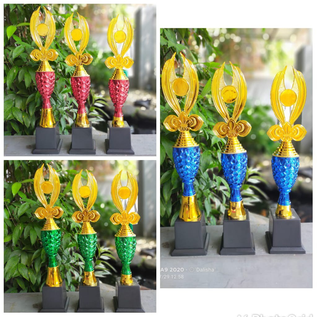 Piala Cup Nanas Piala Cup Sisik Tunas Pramuka Piala Satuan Piala Kejuaraan Piala Penghargaan