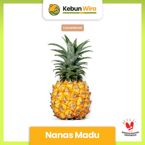 

Nanas Madu 200 gram