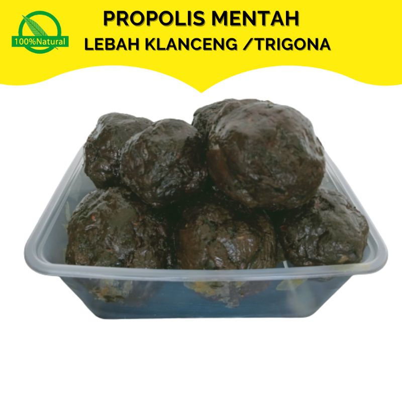 Propolis Mentah/ Raw Propolis Lebah Perasan Klanceng Trigona 200 gram
