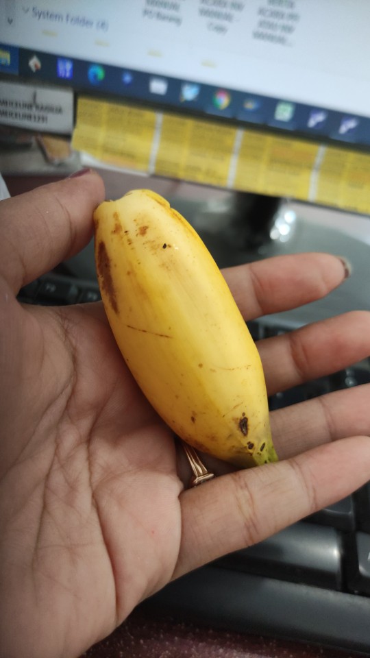 Tissue Facial Tessa 250s