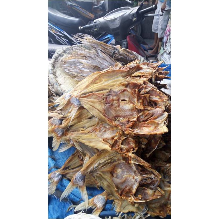 

Ikan Asin Mayung ( @ 1.000 Gr )