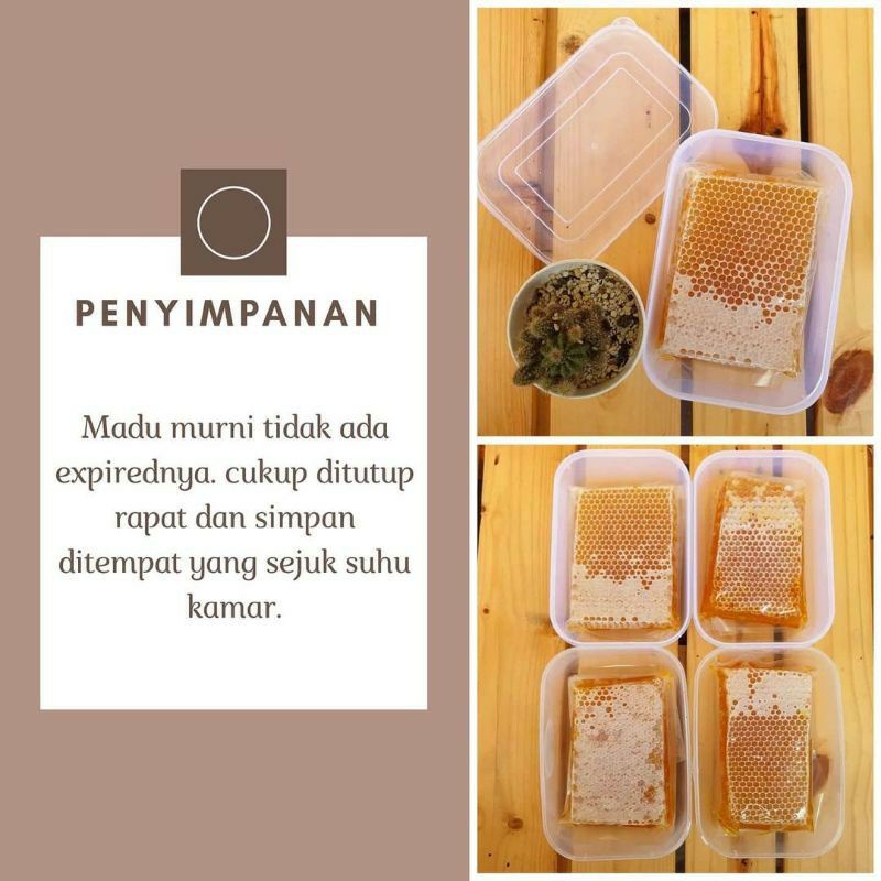 

sarang madu lebah apis mellifera 250 gr honeycomb original