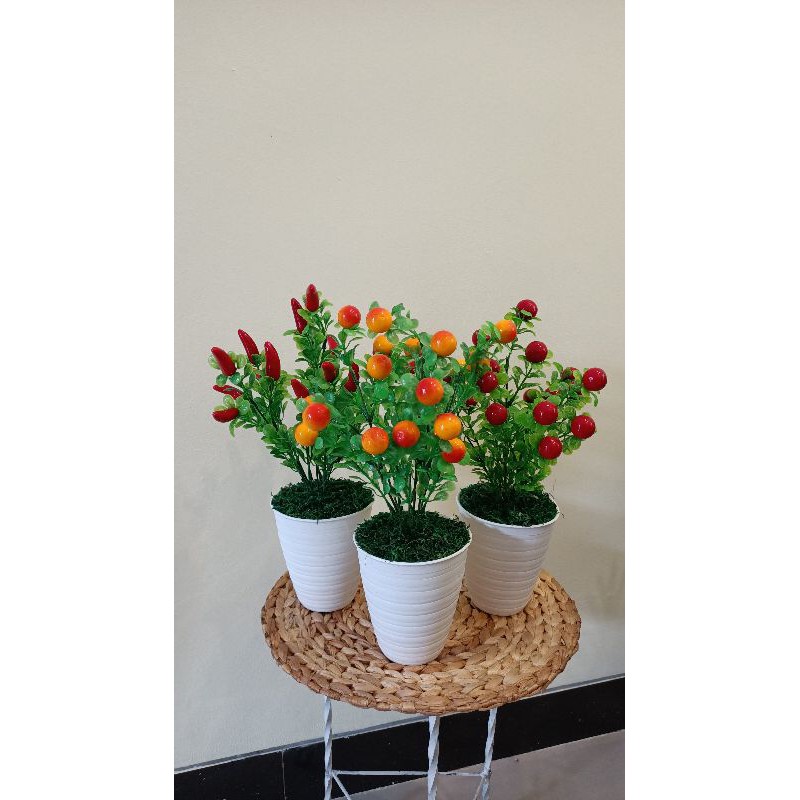 TANAMAN HIAS CABE/CERRY PLASTIK